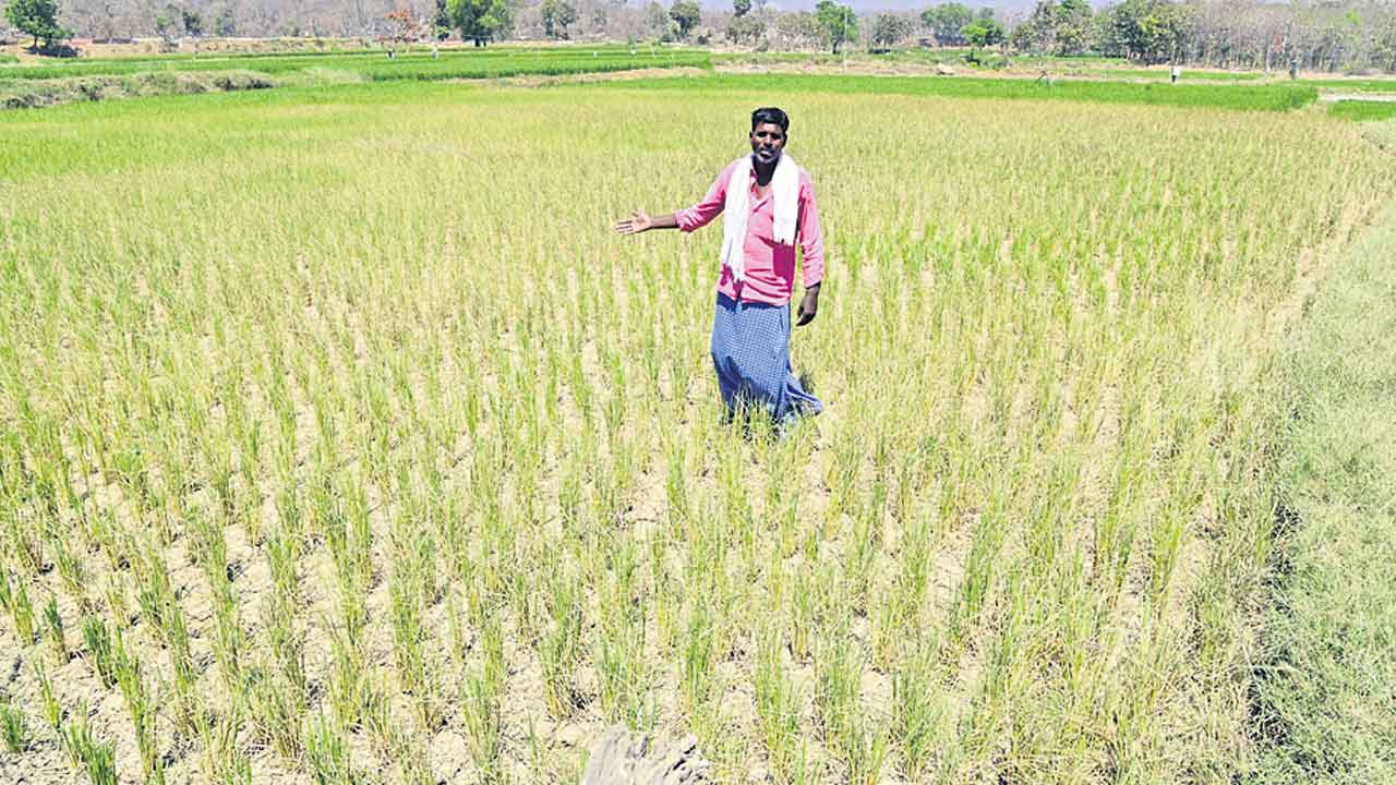 కాళేశ్వరంపై కక్ష.. రైతులకు శిక్ష