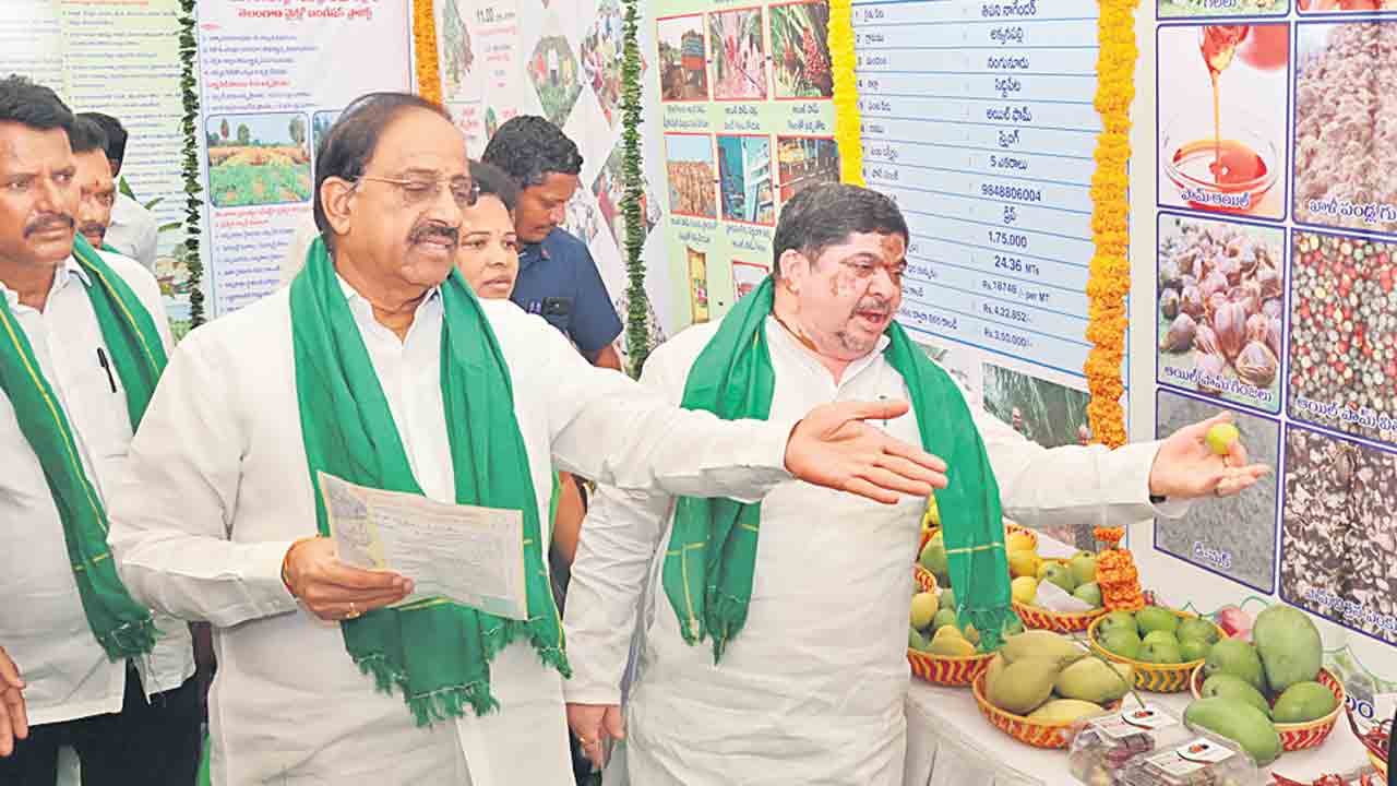 జూలైలో నర్మెట ఆయిల్‌పామ్‌ ఫ్యాక్టరీ ప్రారంభం