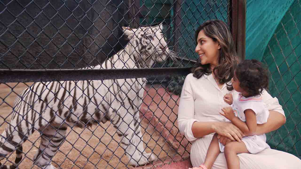 KlinKaara Tigress | ఆడ‌పులికి క్లీంకార పేరు.. నెహ్రూ జూ పార్క్‌ బృందానికి థాంక్స్ చెప్పిన ఉపాసన