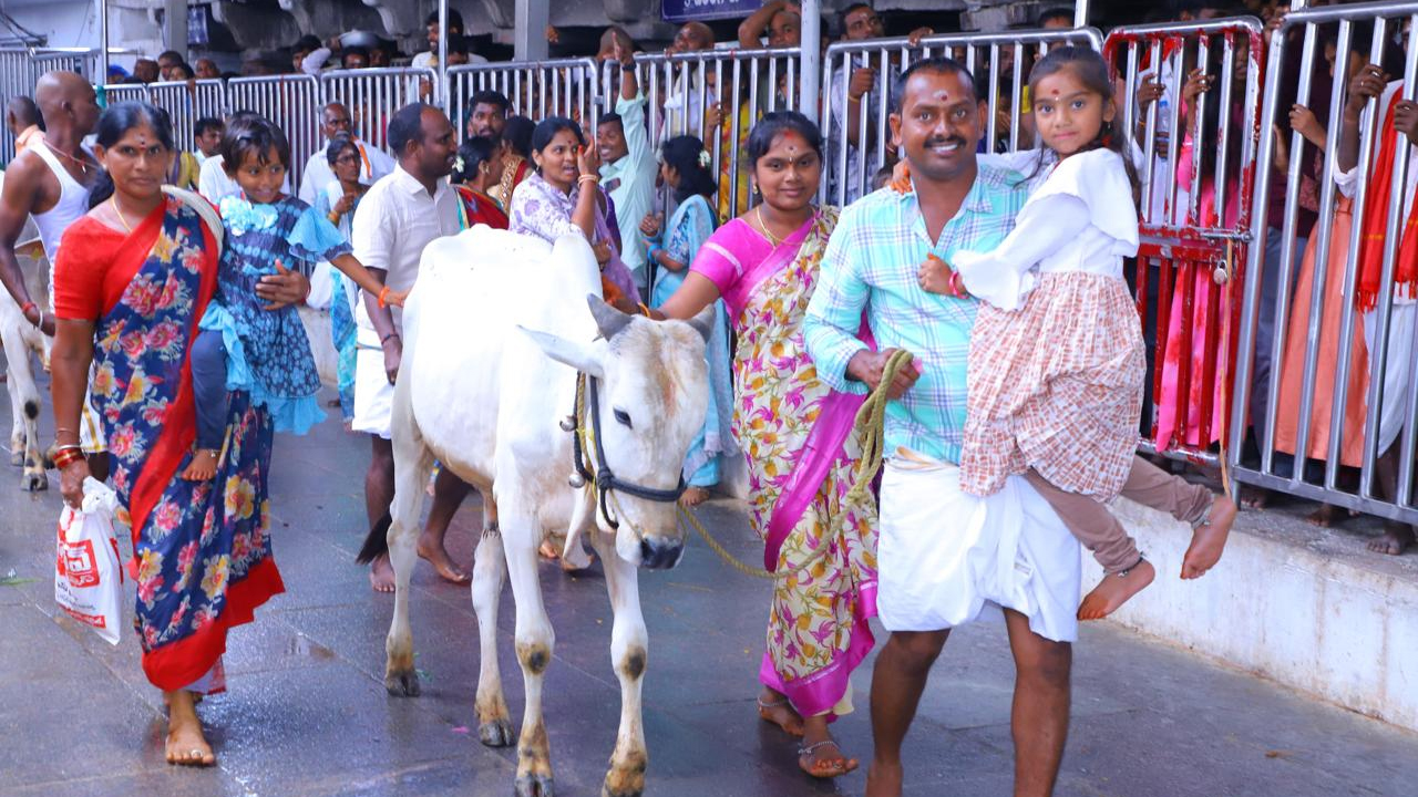 Vemulawad 04