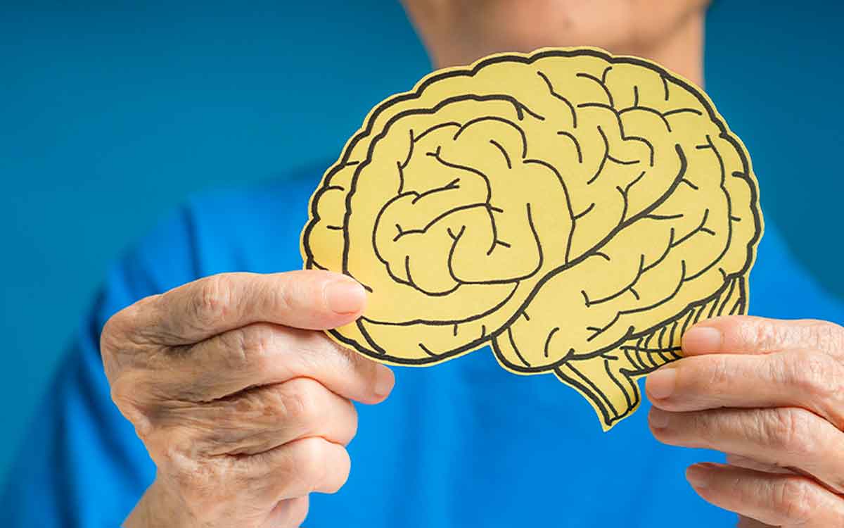 Foods For Brain Activeness | వ‌య‌స్సు మీద ప‌డుతున్నా మెద‌డు యంగ్‌గా, యాక్టివ్‌గా ఉండాలంటే.. వీటిని తీసుకోవాలి..!