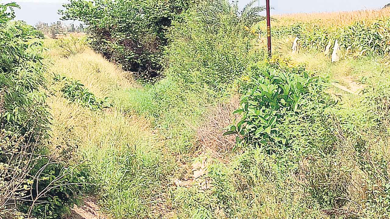 కడెం కాలువలిలా.. పంటలకు నీరెలా!