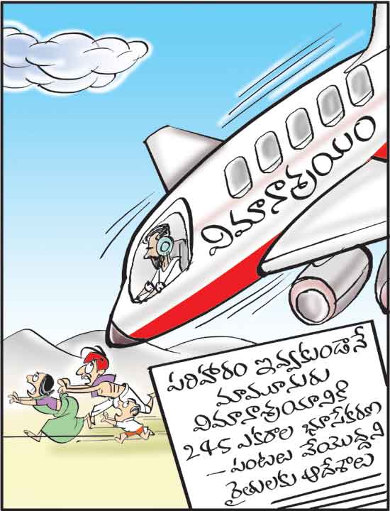 Cartoon