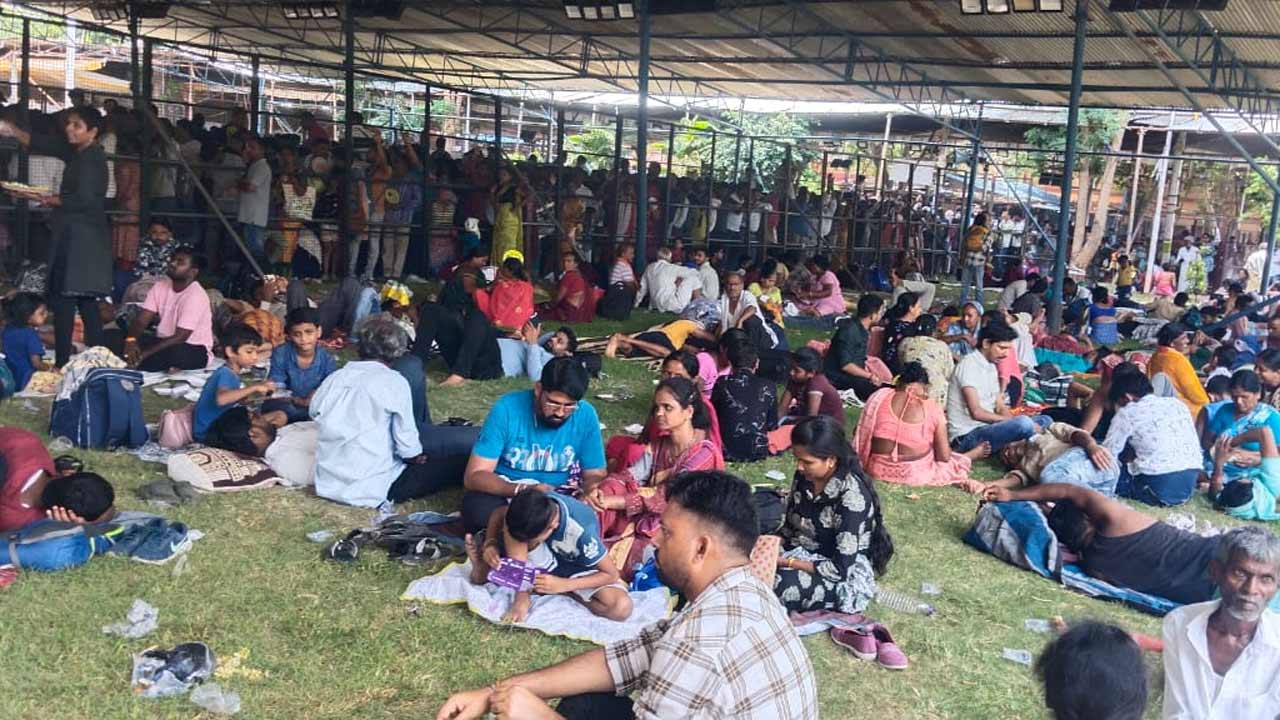 Chepa Prasadam | ముగిసిన చేప ప్రసాదం పంపిణీ.. 59,231 కొర్రమీను పిల్లల విక్రయం!