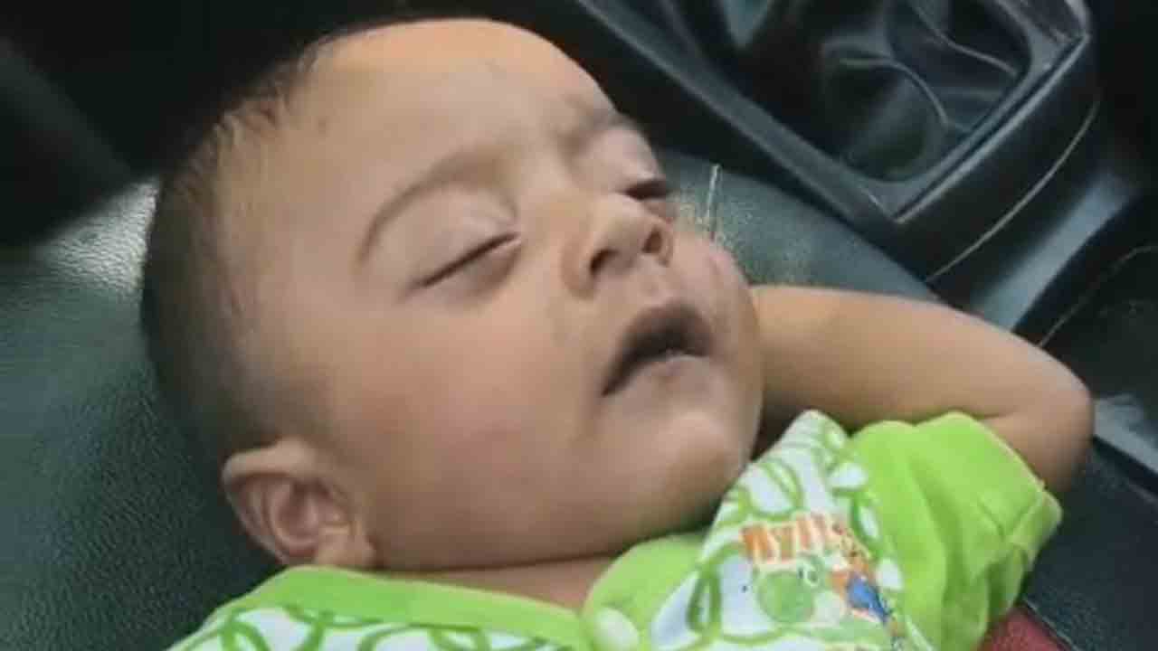 child | అటవీ ప్రాంతంలో శిశువు ఏడుపులు..