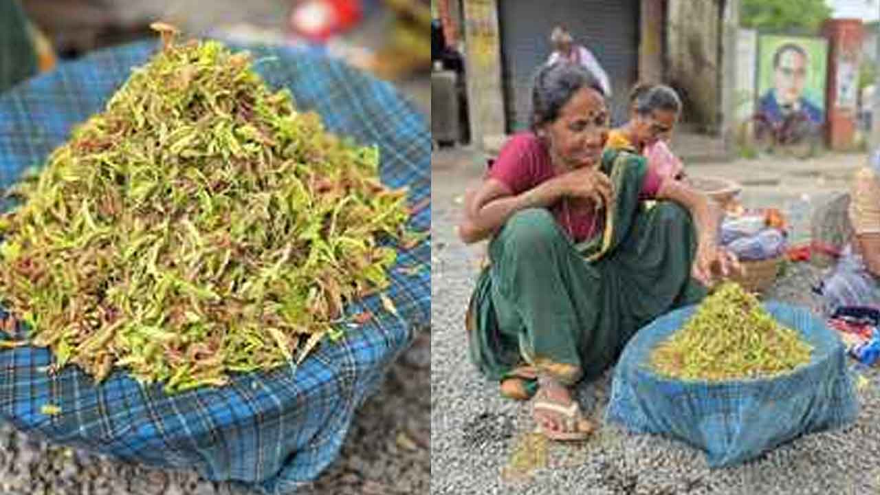 Jagtial | జగిత్యాల జిల్లాలో కొండెక్కిన చింత చిగురు ధరలు.. కిలో ఎంతంటే?