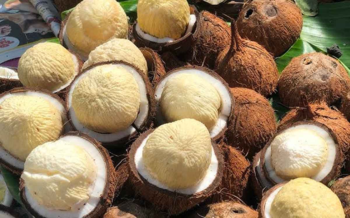 Coconut Flower | కొబ్బ‌రికాయ‌ను కొడితే అందులో పువ్వు వ‌చ్చిందా.. ప‌డేయ‌కుండా తినండి.. ఎందుకంటే..?