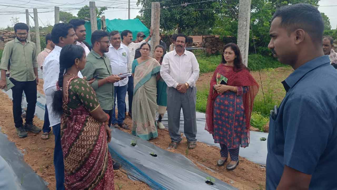 రైతులు ప్రకృతి వ్యవసాయం చేయాలి : కలెక్టర్ సిక్తా పట్నాయక్