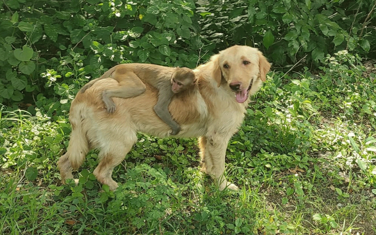 Madhira : జాతి వైరం మ‌రిచి స్నేహ‌గీతం