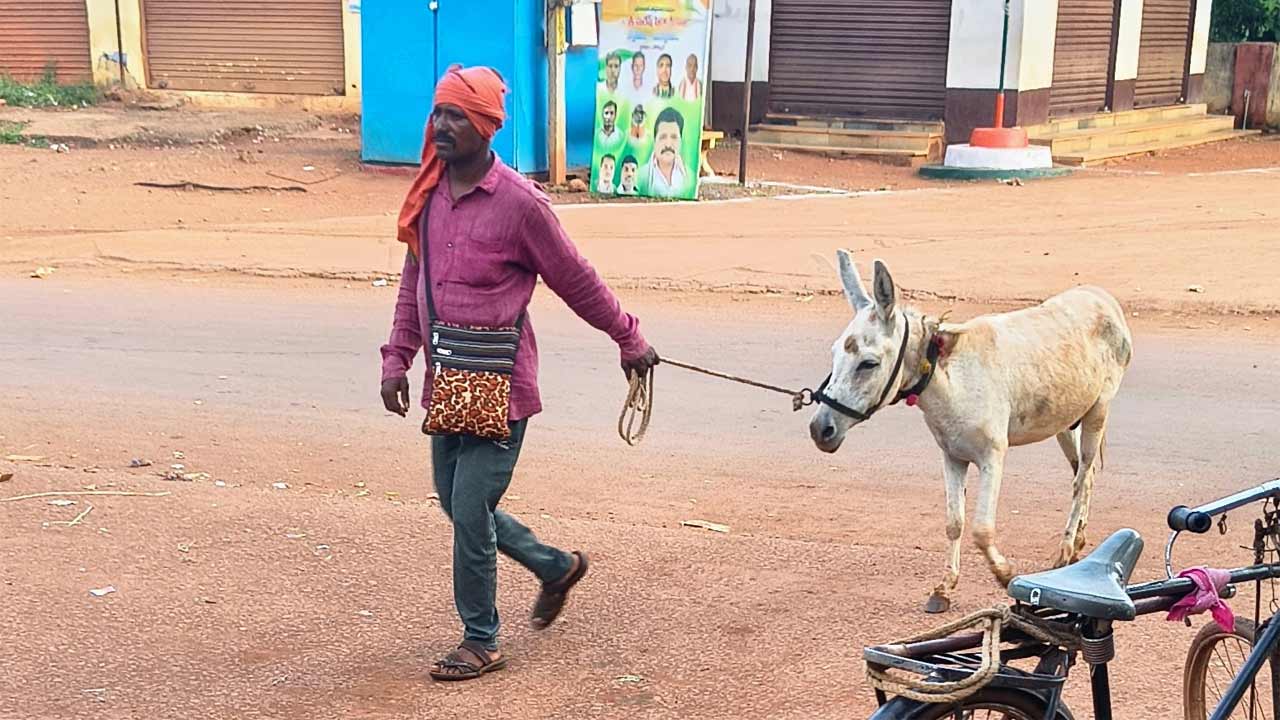 Donkey Milk | గాడిద పాలకు భలే డిమాండ్.. కర్ణాటక, మహారాష్ట్ర నుంచి వచ్చి సంగారెడ్డి జిల్లాలో వ్యాపారం