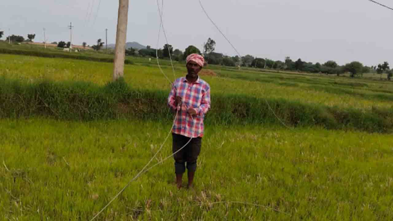 నిలువునా నిర్లక్ష్యం.. నిలిచిన సాగు
