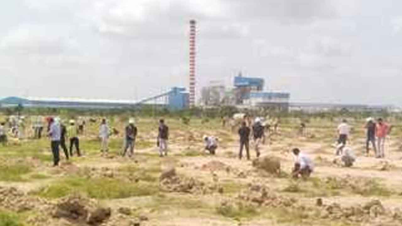 Ethanol company | మొక్కలు నాటిన ఇథనాల్‌ కంపెనీ సిబ్బంది