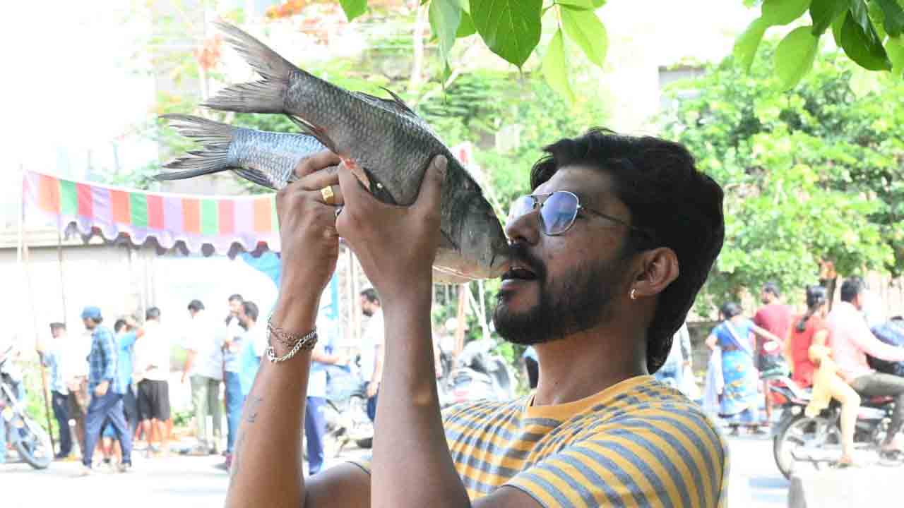 Fish 5