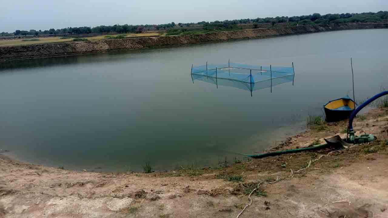 Fish Ponds | అనుమతుల్లేవ్‌.. వందల ఎకరాల్లో అక్రమ చేపల చెరువుల దందా