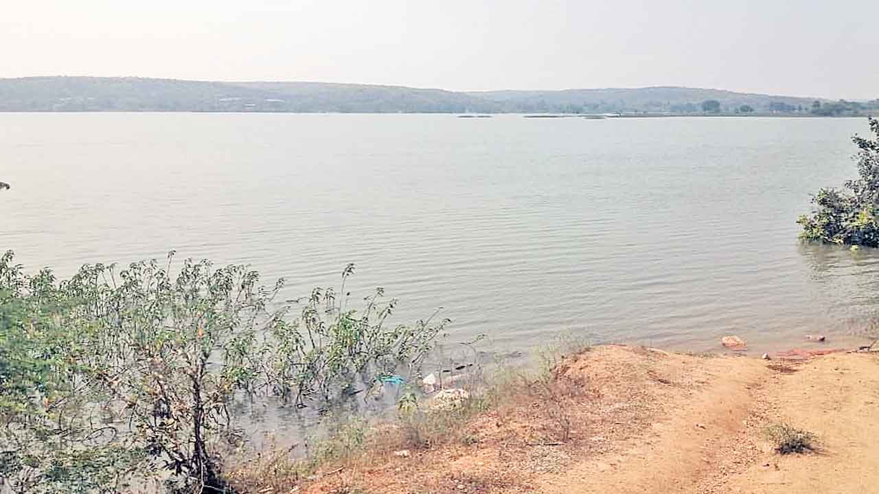 Gandhamalla