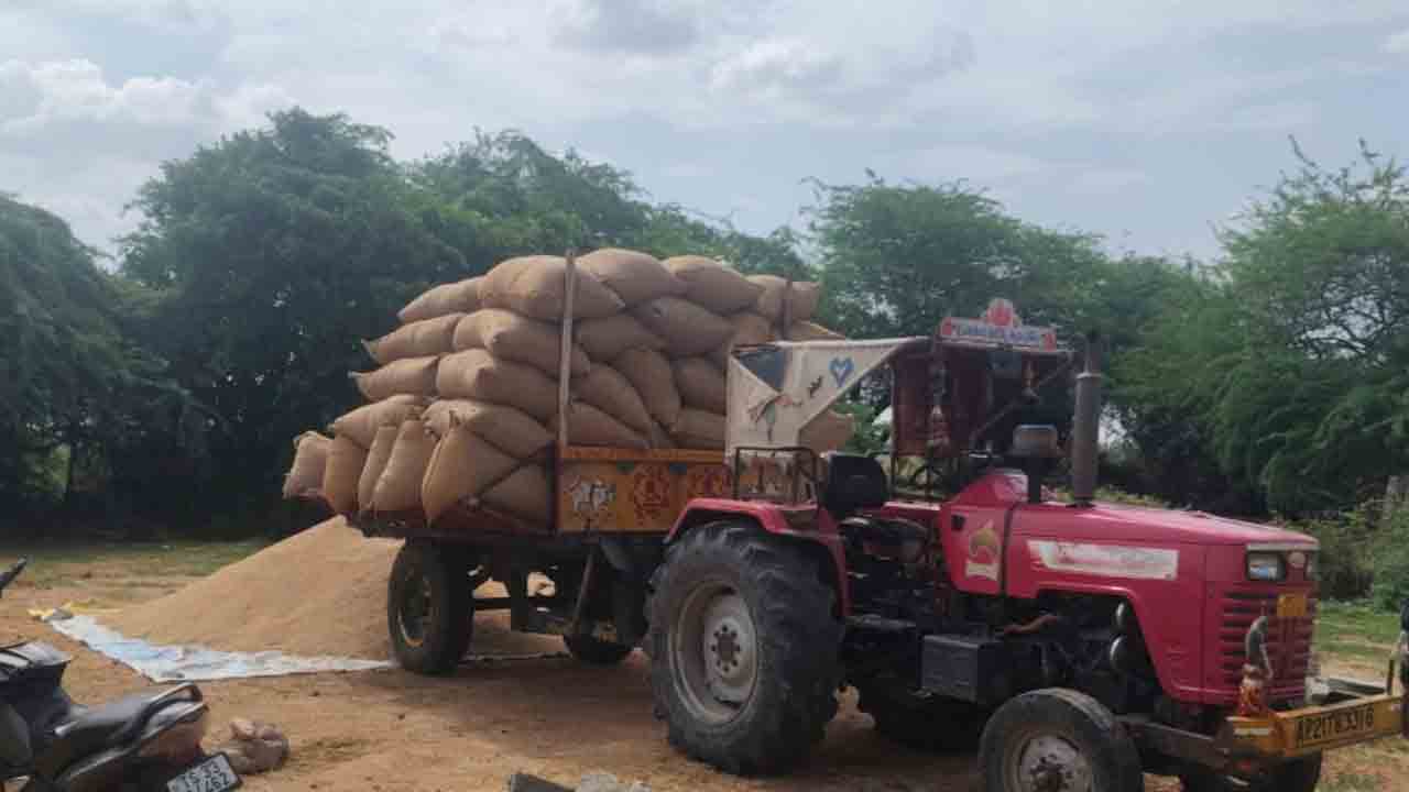 పులికల్‌ ఐకేపీ కేంద్రానికి ఏపీ ధాన్యం