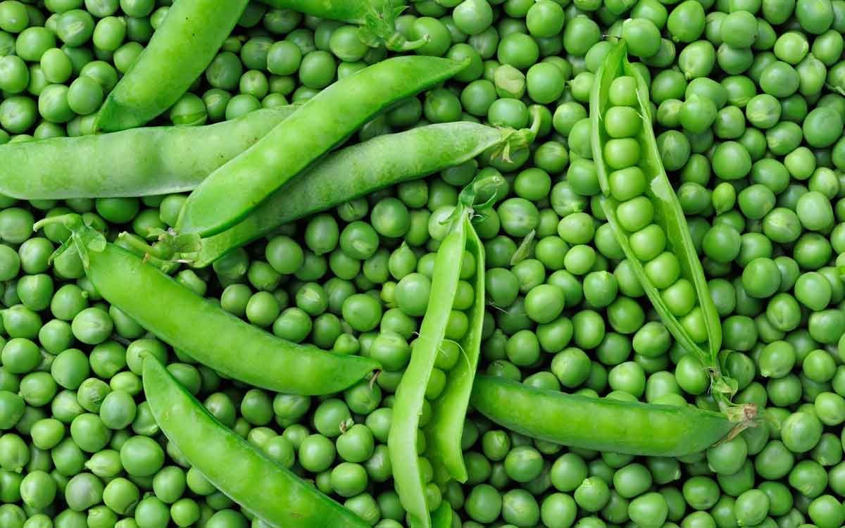 Green Peas | ప‌చ్చి బ‌ఠానీల‌ను లైట్ తీసుకోకండి.. వీటితో క‌లిగే లాభాలు తెలిస్తే ఆశ్చ‌ర్య‌పోతారు..!