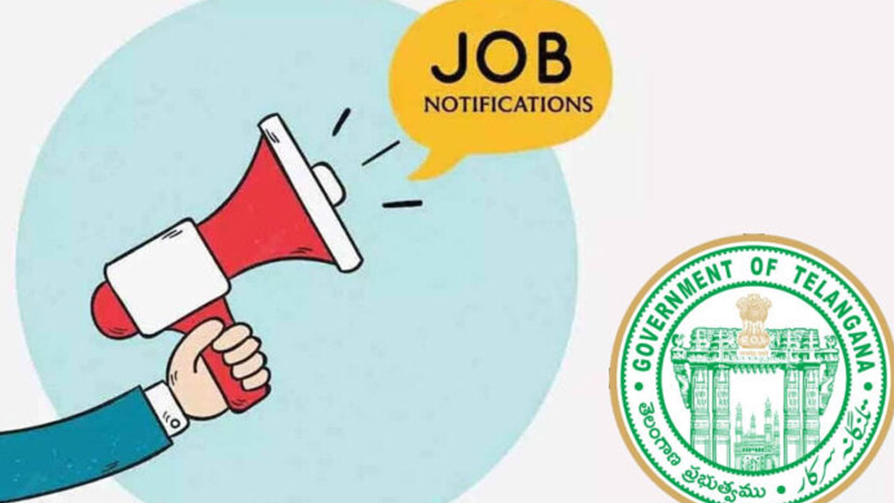 Job Notification | తెలంగాణ వైద్య శాఖలో భారీ నియామకం ..అసిస్టెంట్ ప్రొఫెసర్ పోస్టుల కోసం నోటిఫికేషన్ విడుదల..జీతం ఎంతంటే.!