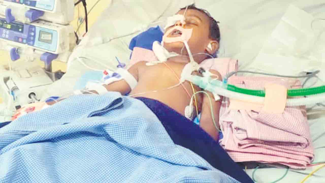 మనీశ్‌ను బతికించండి..