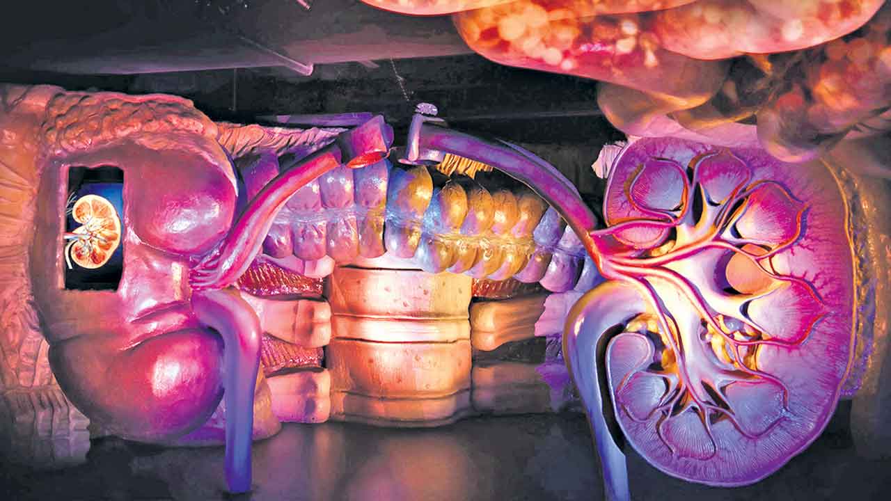 మానవ యాన్‌!