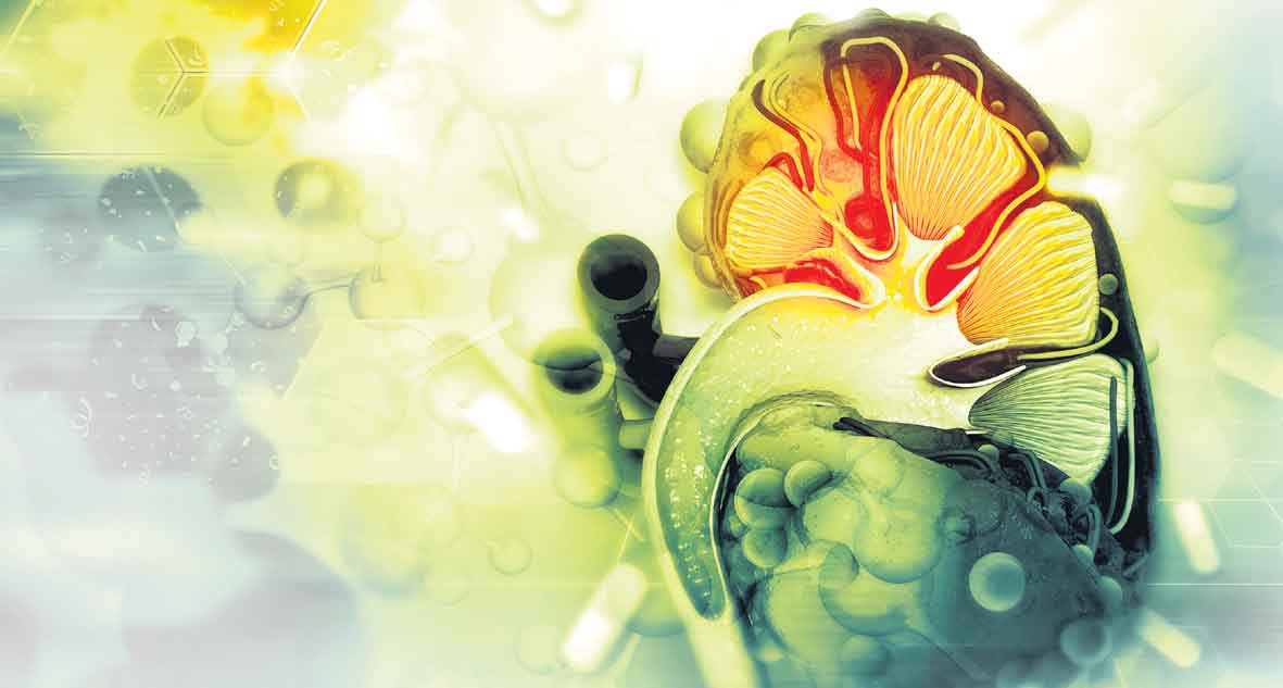 కిడ్నీలకు గండాలు దీర్ఘకాలపు మందులు