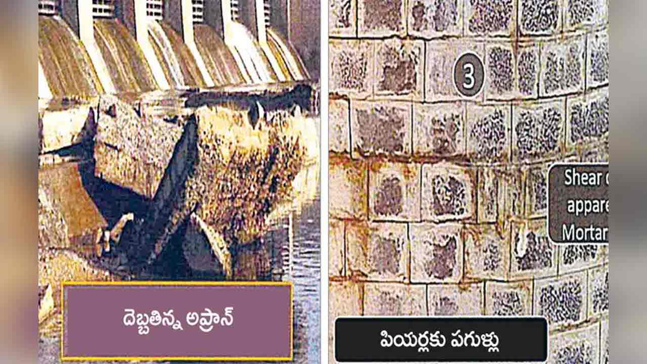 Manjeera