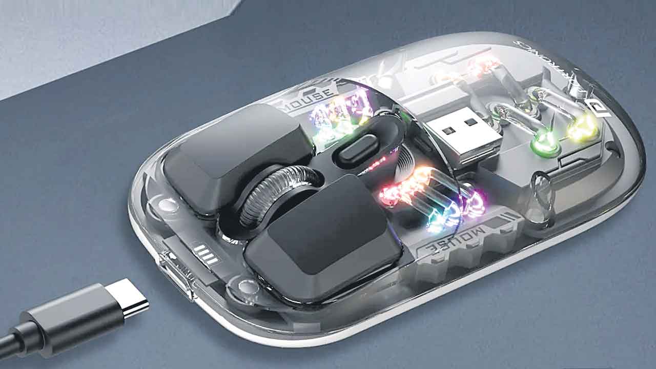 Mouse
