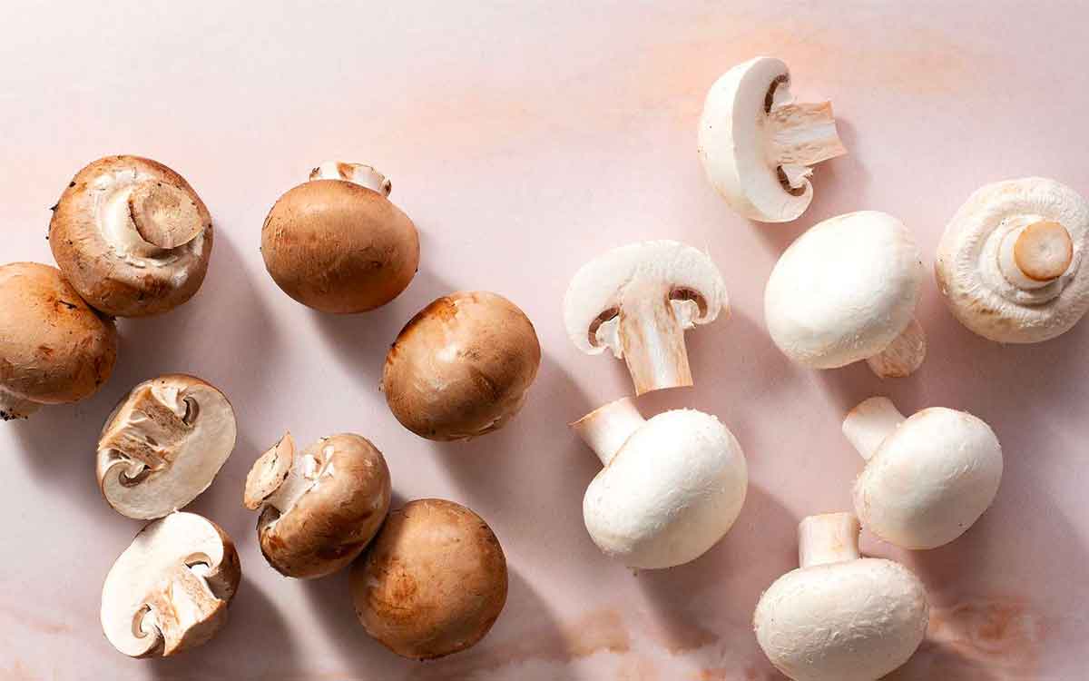 Mushrooms | ఈ సీజ‌న్‌లో పుట్ట‌గొడుగుల‌ను తిన‌డం మ‌రిచిక‌పోకండి.. ఎన్నో లాభాల‌ను పొంద‌వ‌చ్చు..!