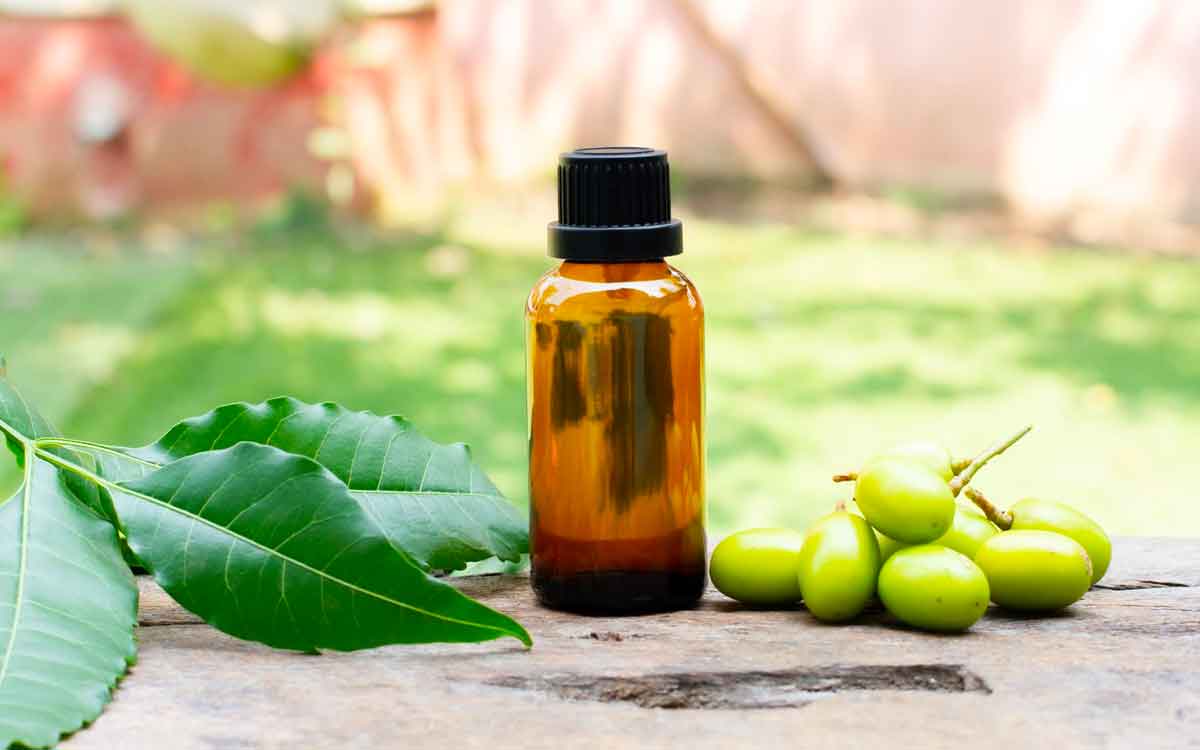 Neem Oil | అద్భుత‌మైన ప్ర‌యోజ‌నాల‌ను అందించే వేప నూనె.. వాడ‌డం మ‌రిచిపోకండి..!