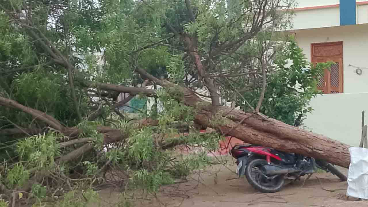 Nizamabad | నిజామాబాద్‌లో గాలి వాన బీభత్సం.. చెట్టు కూలి విద్యుత్ లైన్ ఇన్‌స్పెక్టర్ మృతి