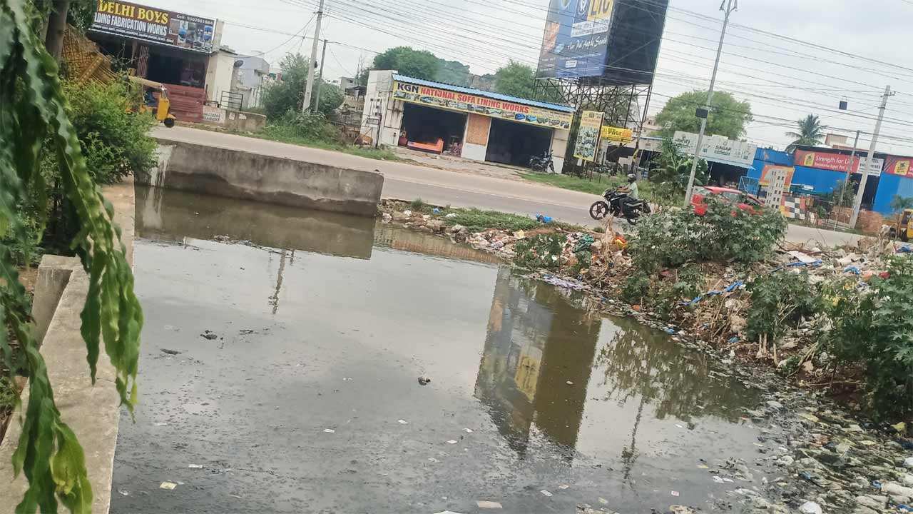 Peddabavi Vagu