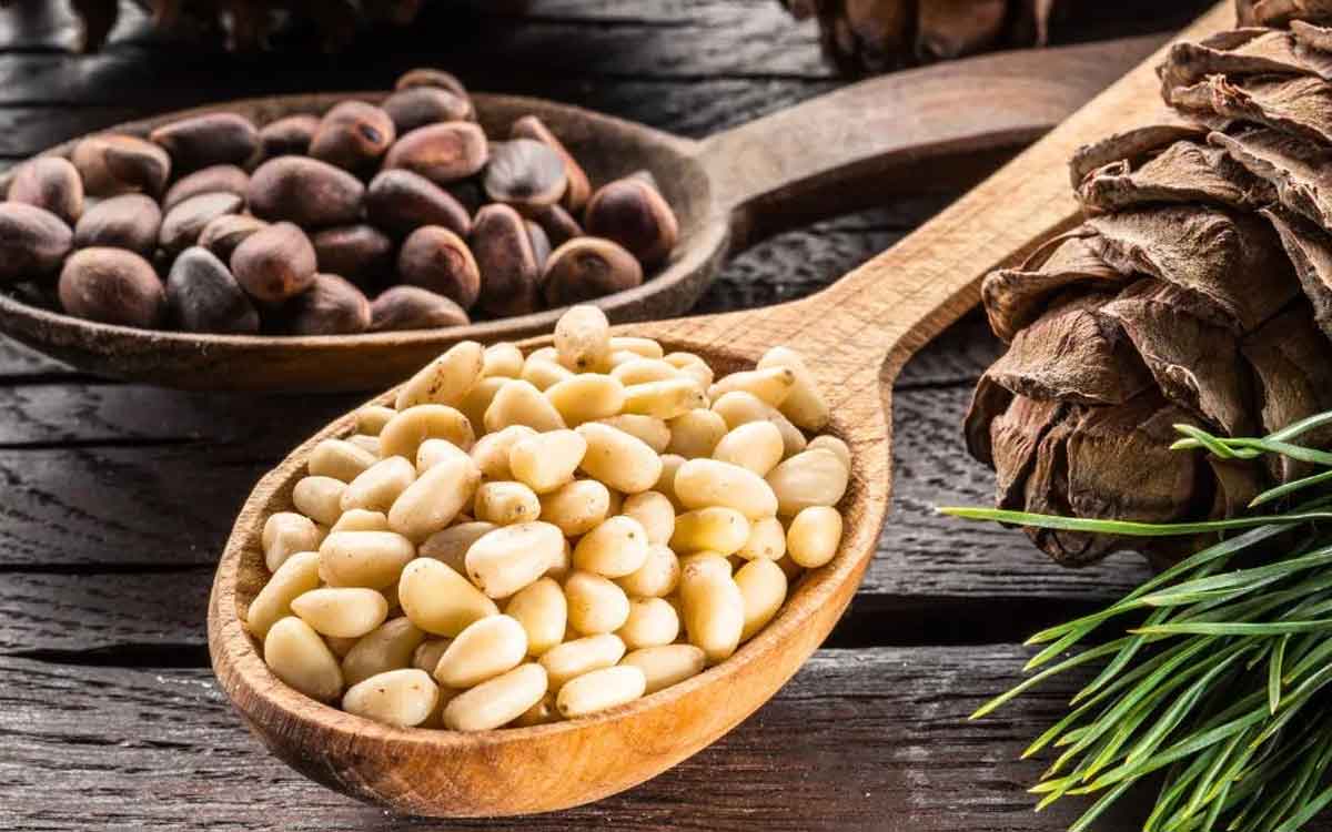 Pine Nuts | రోజూ ఈ న‌ట్స్‌ను గుప్పెడు తినండి చాలు.. ఇవి చేసే మేలు అంతా ఇంతా కాదు..!