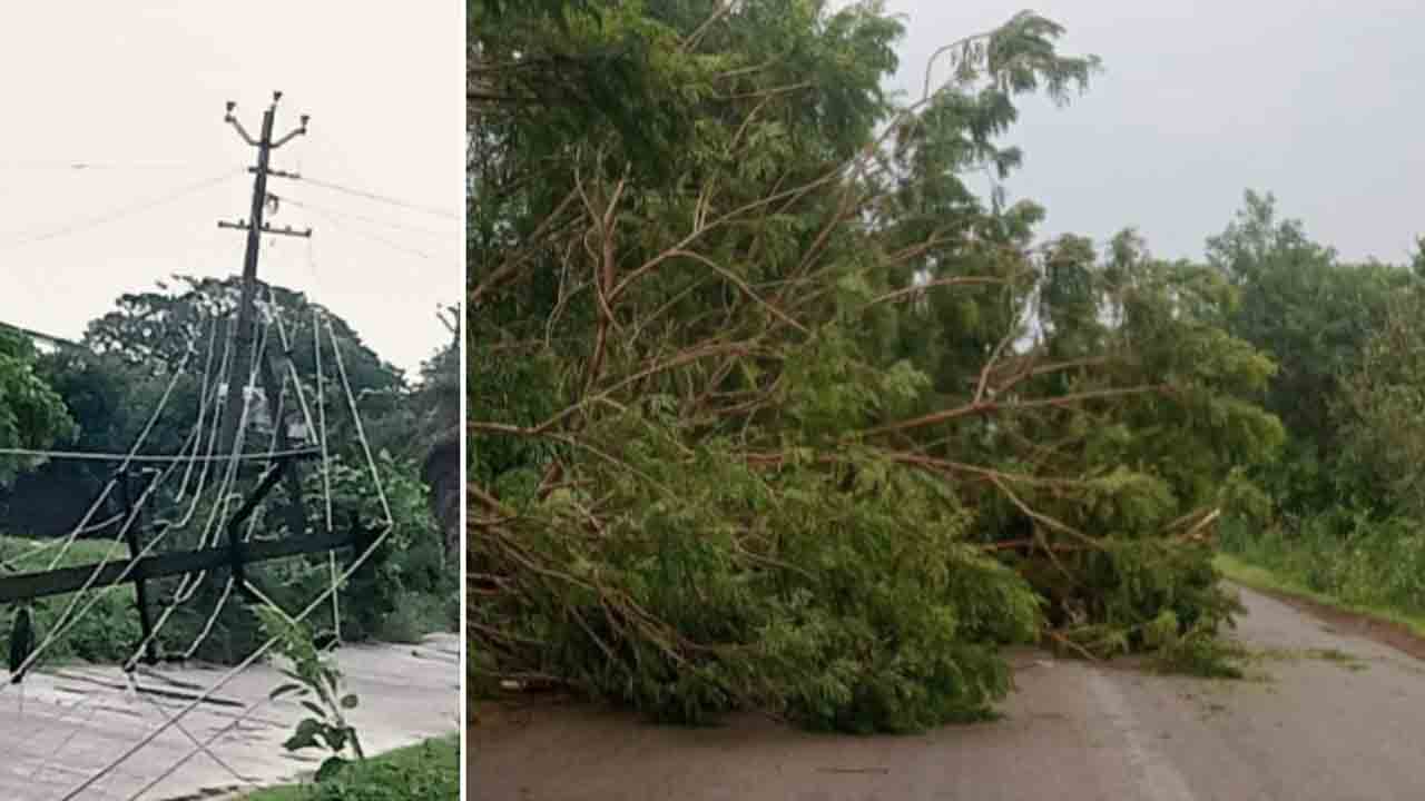 Pothangal | ఈదురు గాలులకు నేలకొరిగిన చెట్లు, విద్యుత్ స్తంభాలు.. పోతంగల్‌లో నిలిచిన విద్యుత్‌ సరఫరా