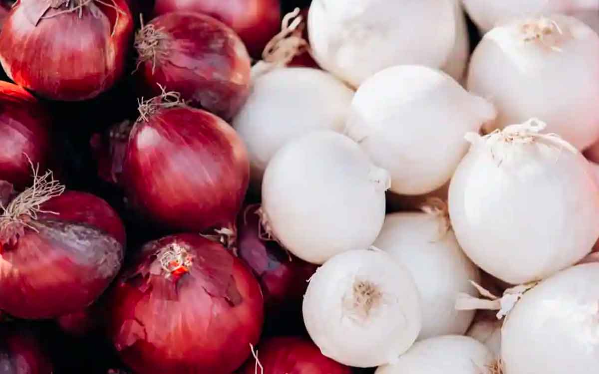 Red Vs White Onions | ఎరుపు, తెలుపు.. రెండింటిలో ఏ రంగు ఉల్లిపాయ‌ల‌ను తింటే మంచిది..?