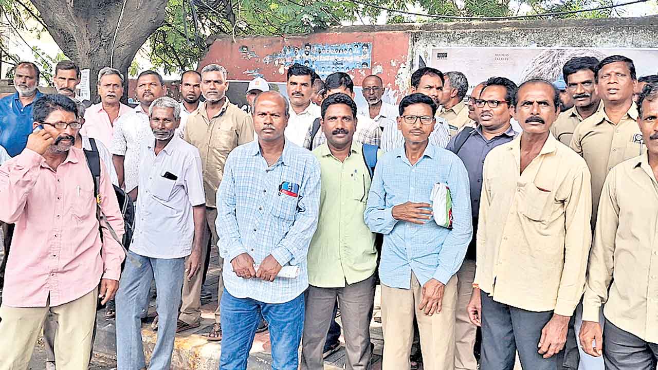 మాకు క్షమాభిక్ష పెట్టండి!