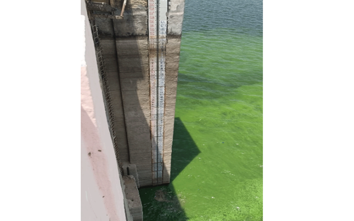 Nandikonda : అడుగంటుతున్న సాగర్‌ జలాలు