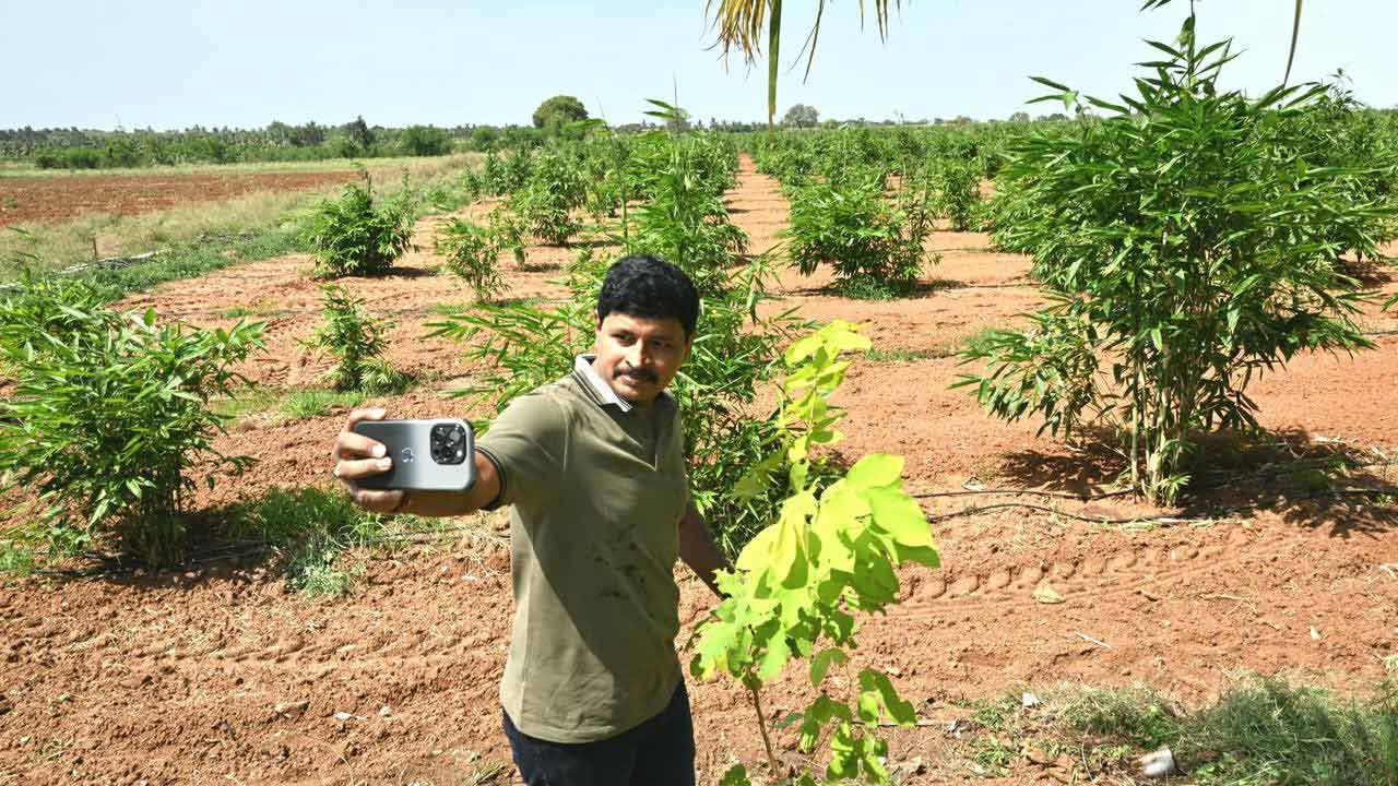 World Environment Day | ప్ర‌పంచ ప‌ర్యావ‌ర‌ణ దినోత్స‌వం.. ఎర్ర‌వ‌ల్లిలో మొక్క‌లు నాటిన సంతోష్ కుమార్