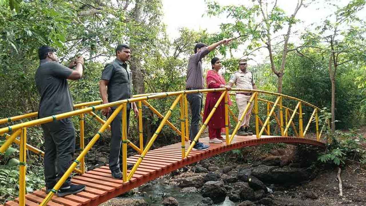 Collector Satya Sharada | పాకాలను ఎకో టూరిజంగా అభివృద్ధి చేయడానికి సిద్ధం : కలెక్టర్ సత్య శారద