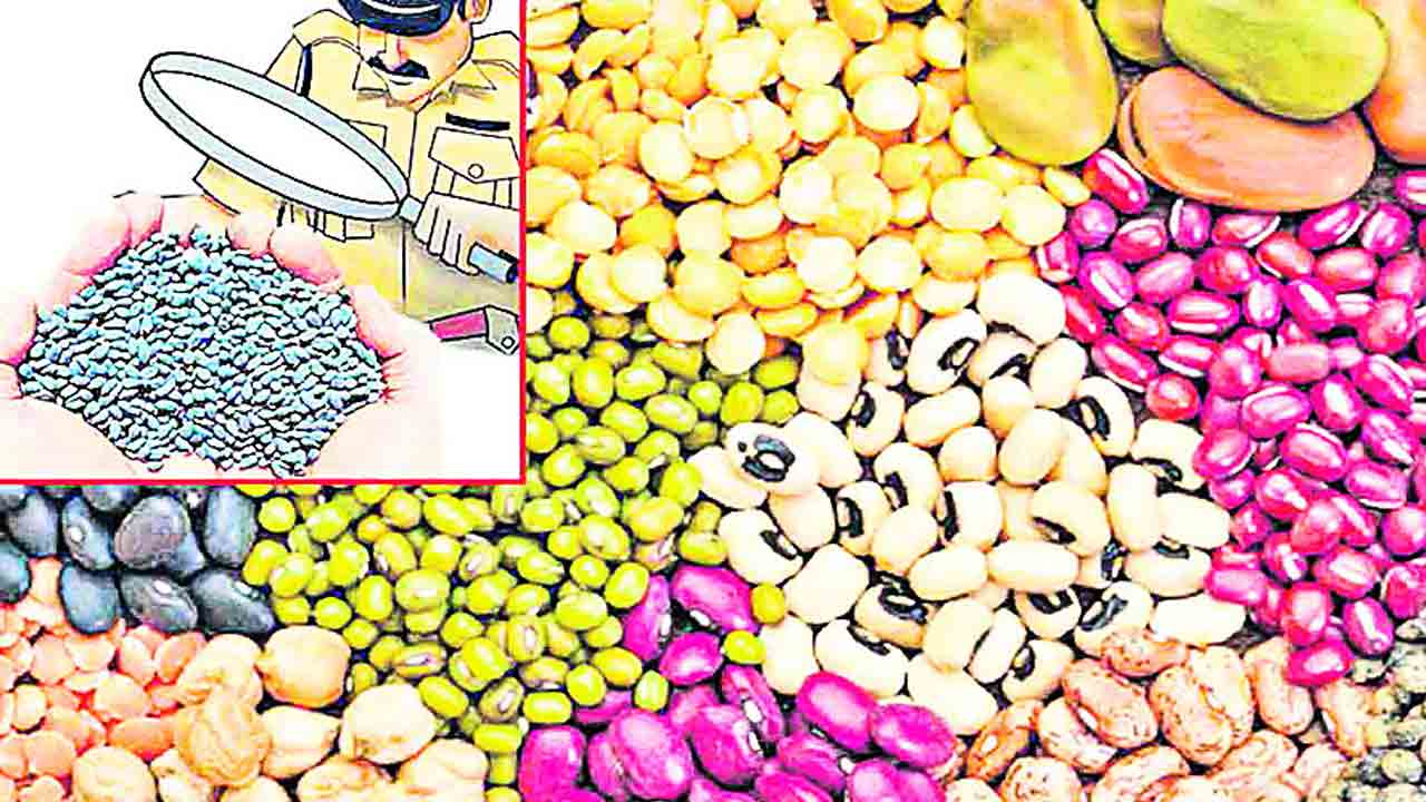 నకిలీ విత్తనాలపై నజర్‌ ఏది ?