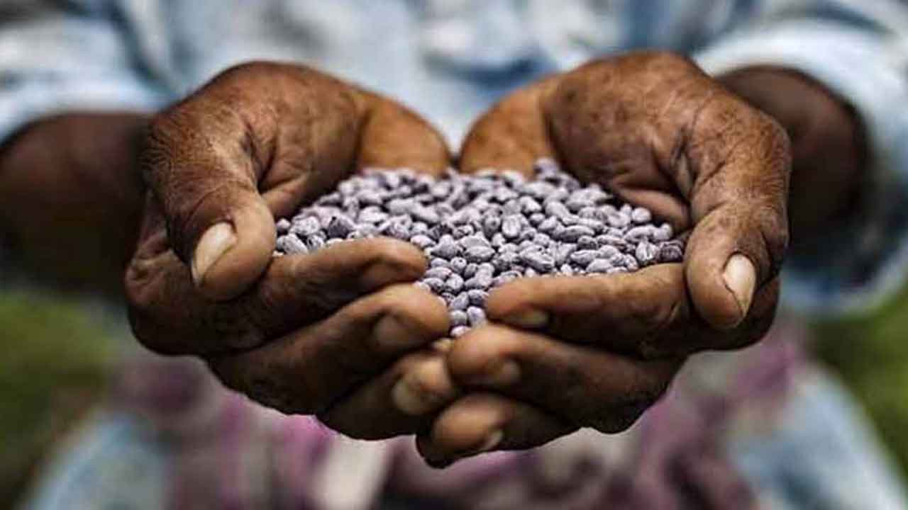 Rangareddy | నకిలీ విత్తనాలతో రైతులు జాగ్రత్తగా ఉండాలి..