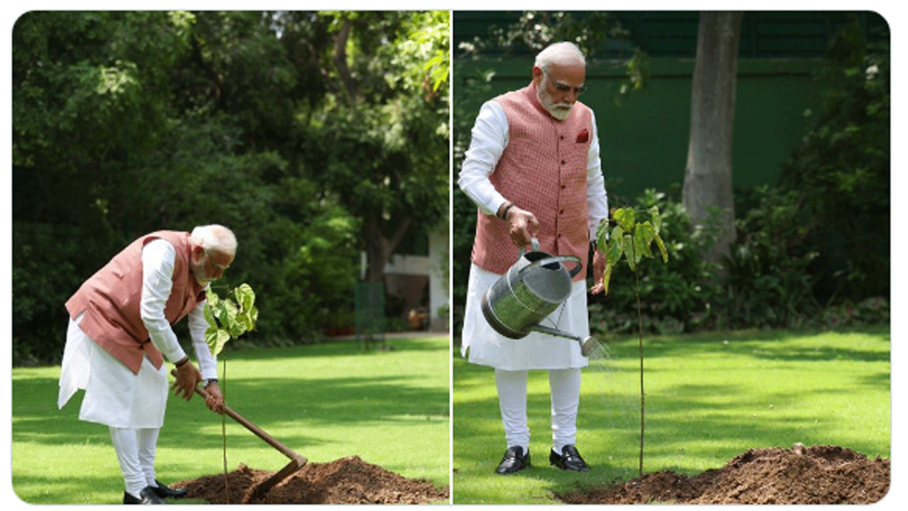 Sindoor Sapling: సిందూరం మొక్క‌ను నాటిన ప్ర‌ధాని మోదీ