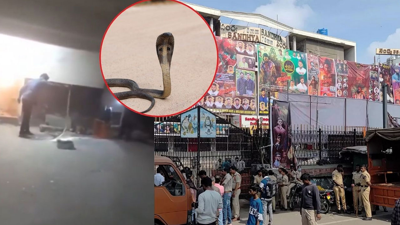 Sandhya Theatre | ఆర్టీసీ క్రాస్ రోడ్డులోని సంధ్య థియేట‌ర్‌లో పాముల క‌ల‌క‌లం..సిబ్బంది కంట ప‌డ్డ పాము