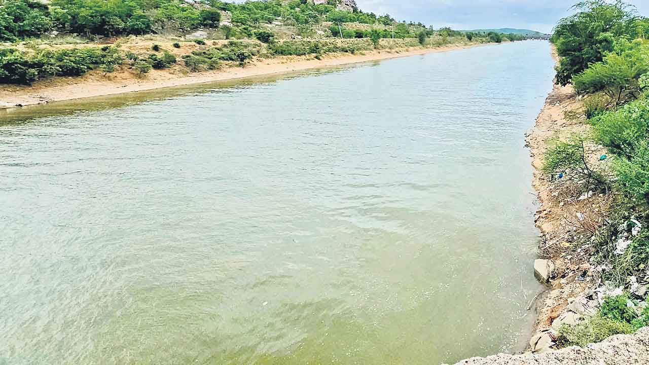 ఆయకట్టుకు పునరుజ్జీవం