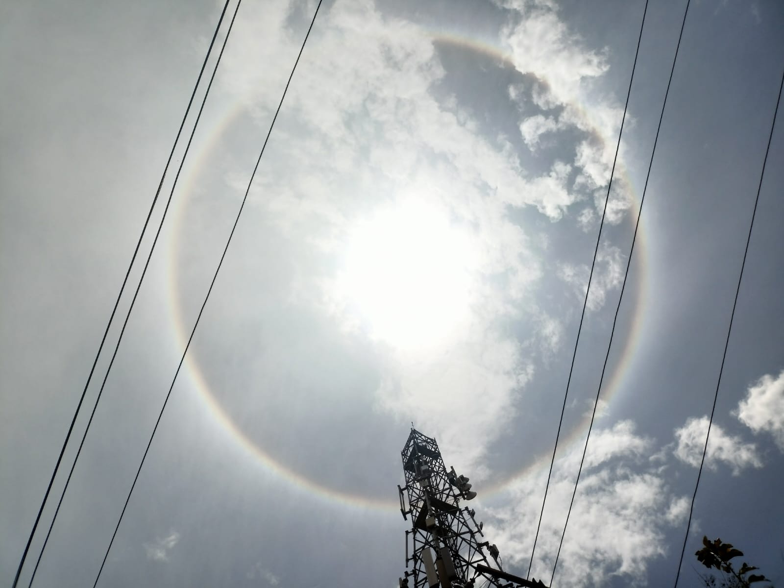 sun