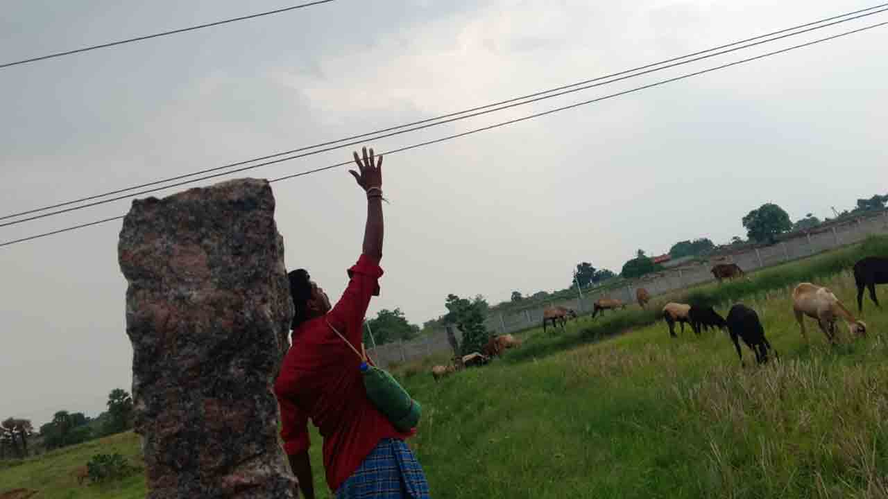 Thimmapur | వైర్లు ఇలా.. సాగు ఎలా.. పంటపొలాల్లో చేతికి అందేలా వేలాడుతున్న విద్యుత్ తీగలు