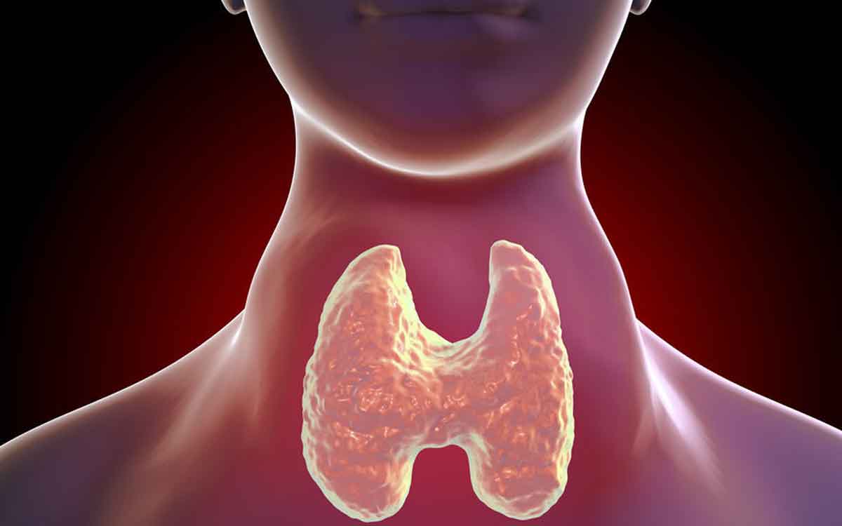 Diet For Thyroid Health | థైరాయిడ్ స‌మ‌స్య ఉందా..? మీ డైట్‌లో ఈ ఆహారాల‌ను చేర్చుకోండి..!