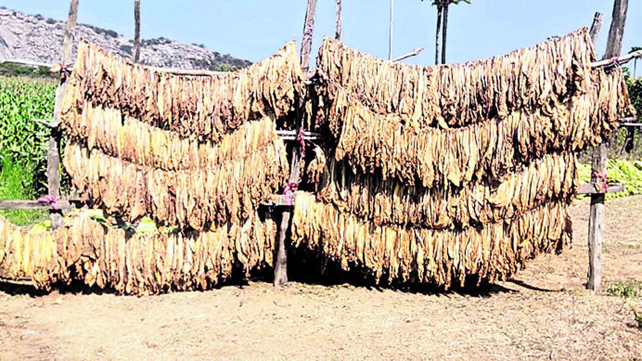 పొగబెట్టేశారు..