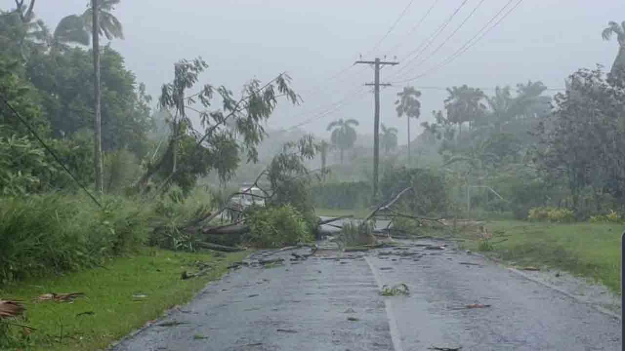 Kalehar | కల్హేర్‌లో ఈదురు గాలుల బీభత్సం.. రోడ్డుకు అడ్డంగా కూలిన చెట్లు