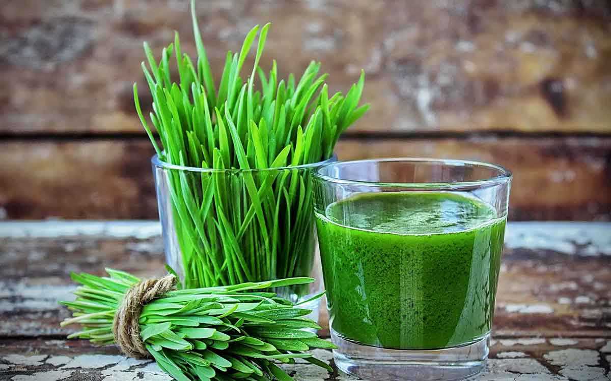 Wheatgrass Juice | రోజూ ప‌ర‌గ‌డుపునే ఈ జ్యూస్‌ను 30 ఎంఎల్ మోతాదులో తాగితే చాలు.. ఏం జ‌రుగుతుందో మీరే చూస్తారు..!