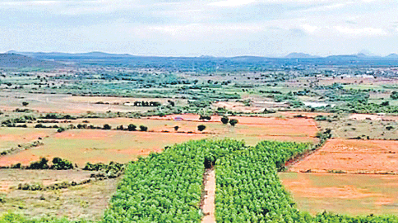 ఫార్మా బాధిత గ్రామాల్లో నేడు పాదయాత్ర.. నిషేధిత జాబితా నుంచి భూములను తొలగించాలని డిమాండ్‌